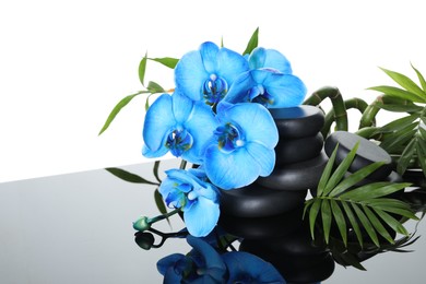 Photo of Beautiful blue orchid flowers, bamboo stems, green leaves and spa stones on mirror surface against white background, space for text