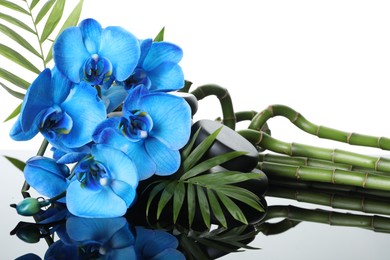 Photo of Beautiful blue orchid flowers, bamboo stems, green leaves and spa stones on mirror surface against white background