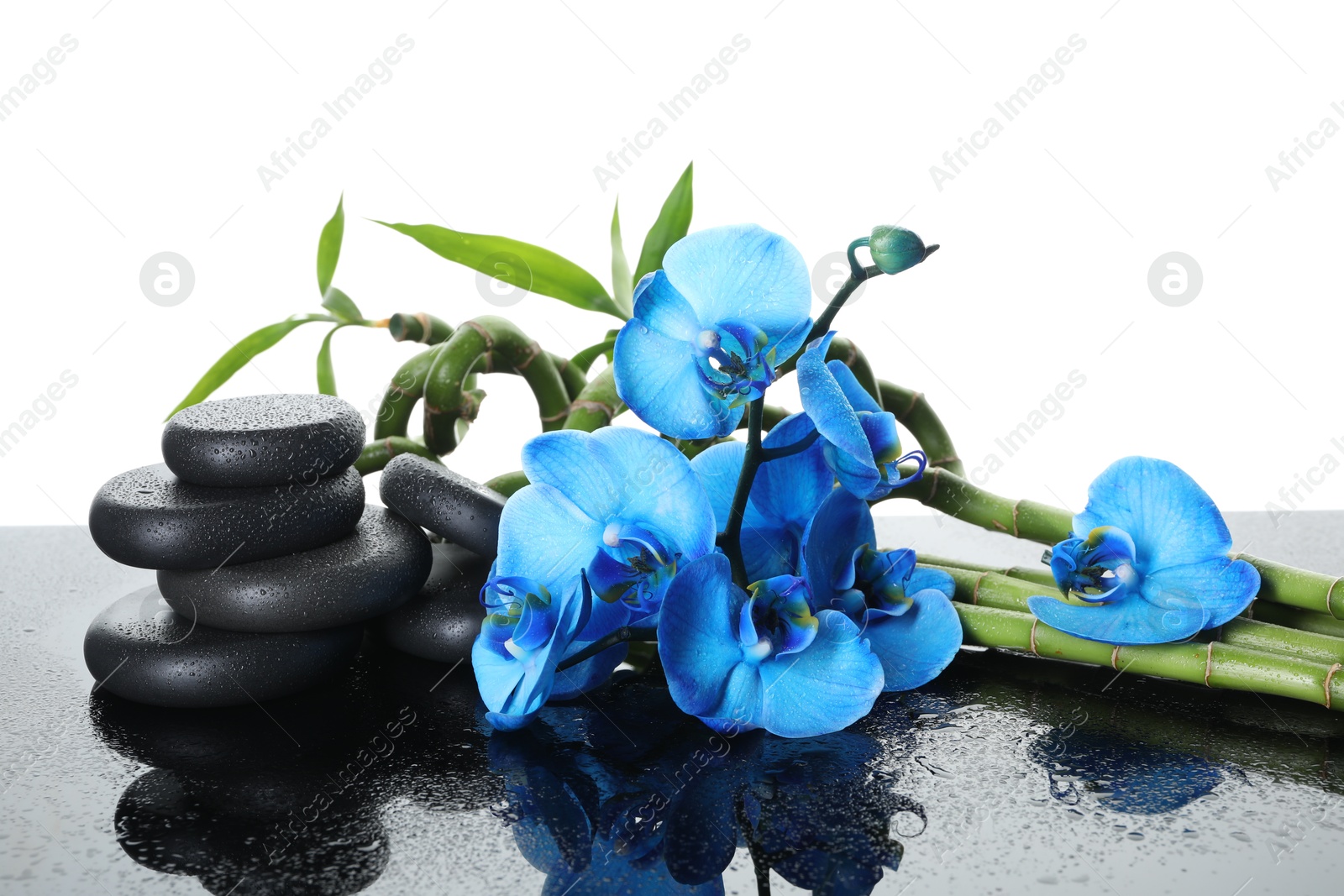 Photo of Beautiful blue orchid flowers, bamboo stems and spa stones on wet mirror surface against white background