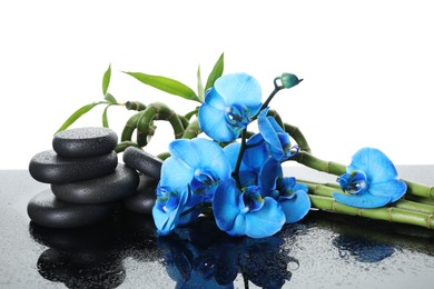 Photo of Beautiful blue orchid flowers, bamboo stems and spa stones on wet mirror surface against white background