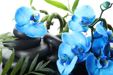Photo of Beautiful blue orchid flowers, bamboo stems, green leaves and spa stones on white background, closeup