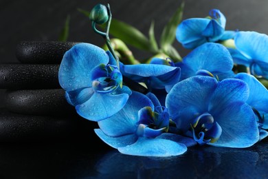 Photo of Beautiful blue orchid flowers and spa stones on mirror surface, closeup