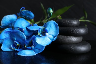 Photo of Beautiful blue orchid flowers and spa stones on mirror surface, closeup