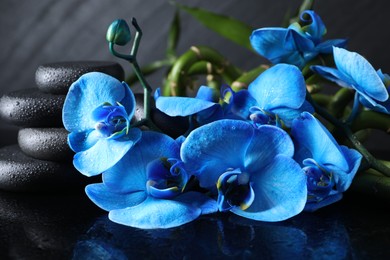 Photo of Beautiful blue orchid flowers, spa stones and bamboo stems on mirror surface, closeup