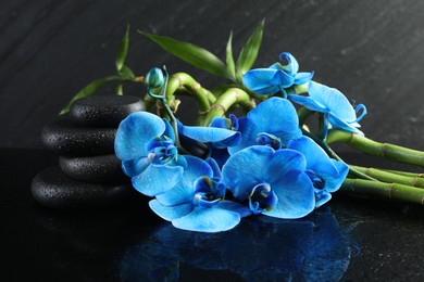 Photo of Beautiful blue orchid flowers, spa stones and bamboo stems on mirror surface