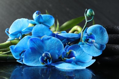 Photo of Beautiful blue orchid flowers, spa stones and bamboo stems on mirror surface, closeup