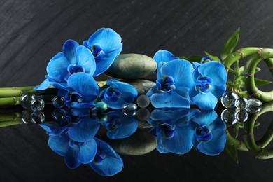 Photo of Beautiful blue orchid flowers, decorative stones and bamboo stems on mirror surface
