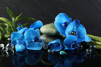 Photo of Beautiful blue orchid flowers, decorative stones and bamboo stems on mirror surface