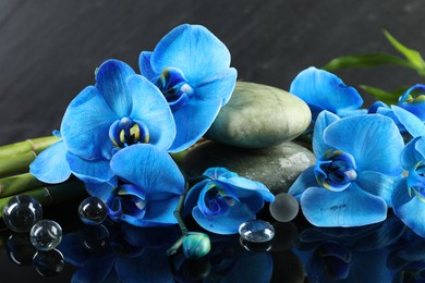 Photo of Beautiful blue orchid flowers, decorative stones and bamboo stems on mirror surface, closeup