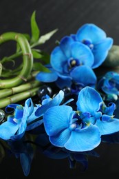 Photo of Beautiful blue orchid flowers, decorative stones and bamboo stems on mirror surface, closeup