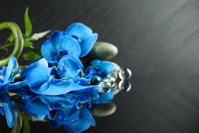 Photo of Beautiful blue orchid flowers, decorative stones and bamboo stems on mirror surface, closeup. Space for text
