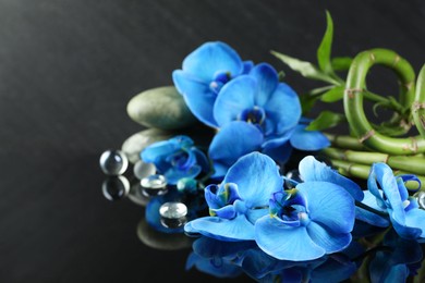 Photo of Beautiful blue orchid flowers, decorative stones and bamboo stems on mirror surface, closeup. Space for text