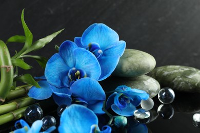 Photo of Beautiful blue orchid flowers, decorative stones and bamboo stems on mirror surface, closeup