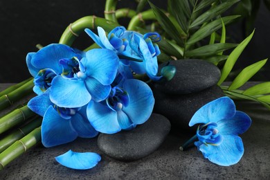 Photo of Beautiful blue orchid flowers, bamboo stems, green leaves and spa stones on grey table, closeup