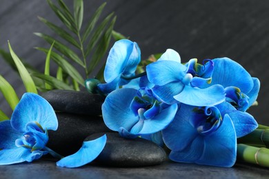 Photo of Beautiful blue orchid flowers, bamboo stems, green leaves and spa stones on grey table, closeup