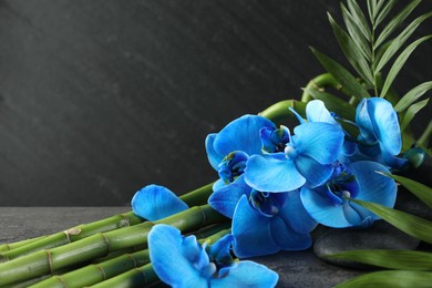 Photo of Beautiful blue orchid flowers, bamboo stems, green leaves and spa stones on grey table, closeup