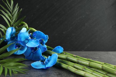 Photo of Beautiful blue orchid flowers, bamboo stems, green leaves and spa stone on grey table, closeup