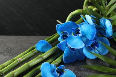 Photo of Beautiful blue orchid flowers, bamboo stems, green leaves and spa stone on grey table, closeup
