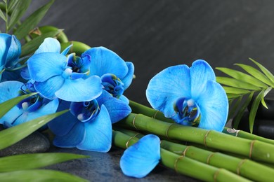 Photo of Beautiful blue orchid flowers, bamboo stems, green leaves and spa stones on grey table, closeup