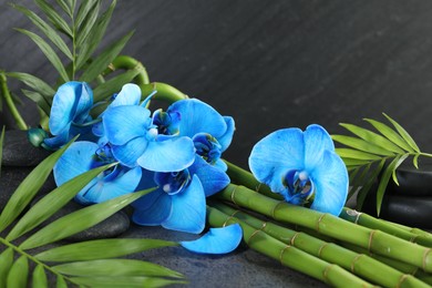 Photo of Beautiful blue orchid flowers, bamboo stems, green leaves and spa stones on grey table, closeup