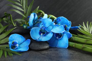 Photo of Beautiful blue orchid flowers, bamboo stems, green leaves and spa stones on grey table, closeup