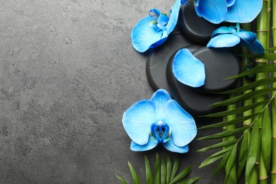 Photo of Beautiful blue orchid flowers, bamboo stems, green leaves and spa stones on grey table, flat lay. Space for text