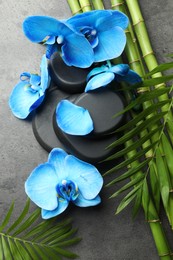 Photo of Beautiful blue orchid flowers, bamboo stems, green leaves and spa stones on grey table, flat lay