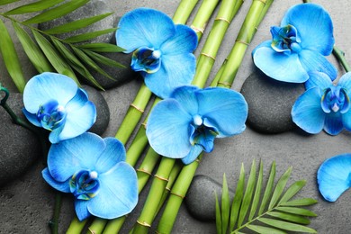 Photo of Beautiful blue orchid flowers, bamboo stems, green leaves and spa stones on grey table, flat lay