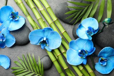 Photo of Beautiful blue orchid flowers, bamboo stems, green leaves and spa stones on grey table, flat lay