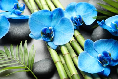 Photo of Beautiful blue orchid flowers, bamboo stems, green leaves and spa stones on grey table, closeup