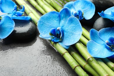 Photo of Beautiful blue orchid flowers, bamboo stems and spa stones on wet grey background, closeup