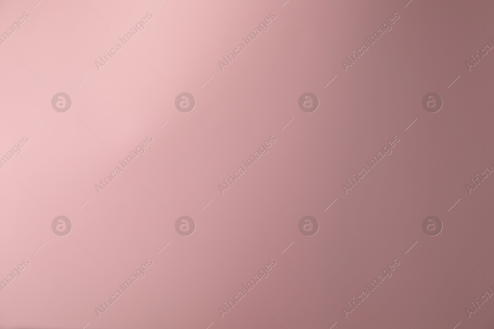 Photo of Pink gradient background. Abstract color backdrop for design