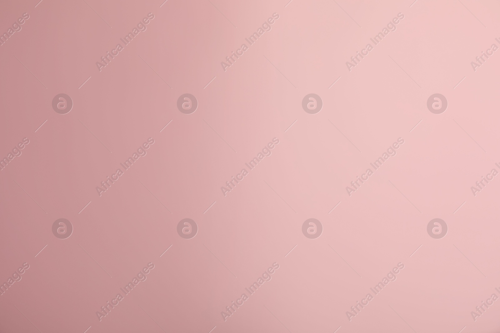 Photo of Pink gradient background. Abstract color backdrop for design