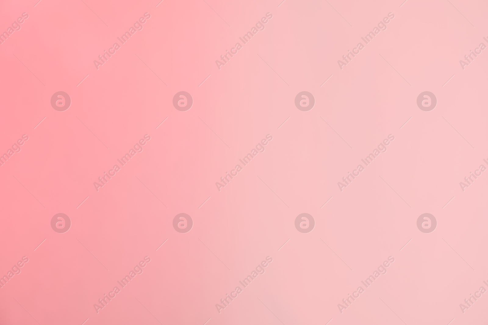 Photo of Pink gradient background. Abstract color backdrop for design