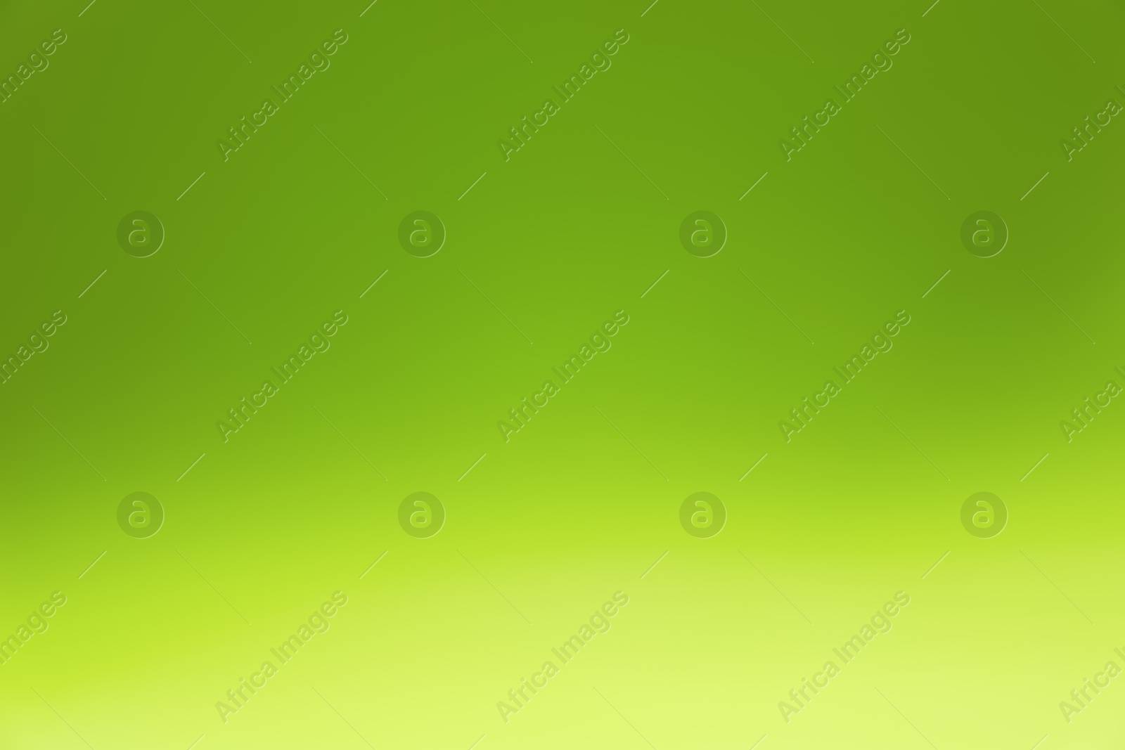 Photo of Olive gradient background. Abstract color backdrop for design