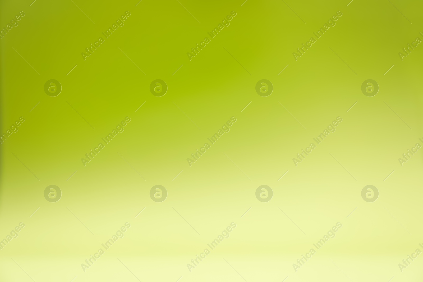 Photo of Olive gradient background. Abstract color backdrop for design