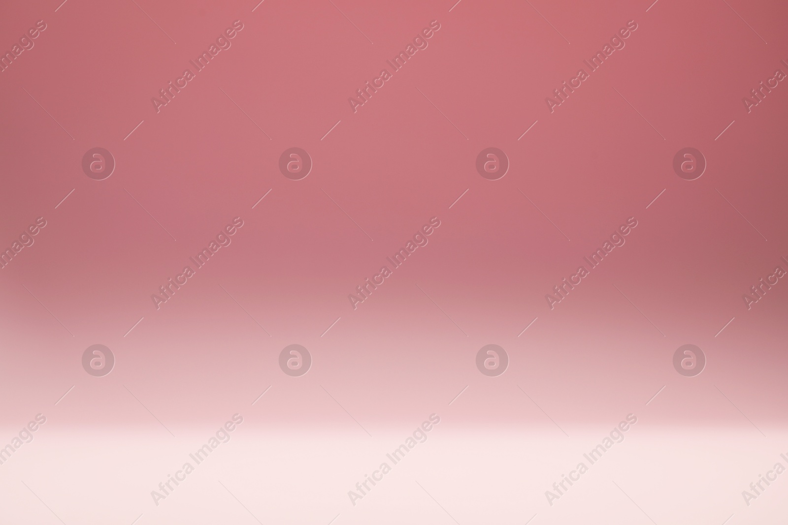 Photo of Dusty rose gradient background. Abstract color backdrop for design