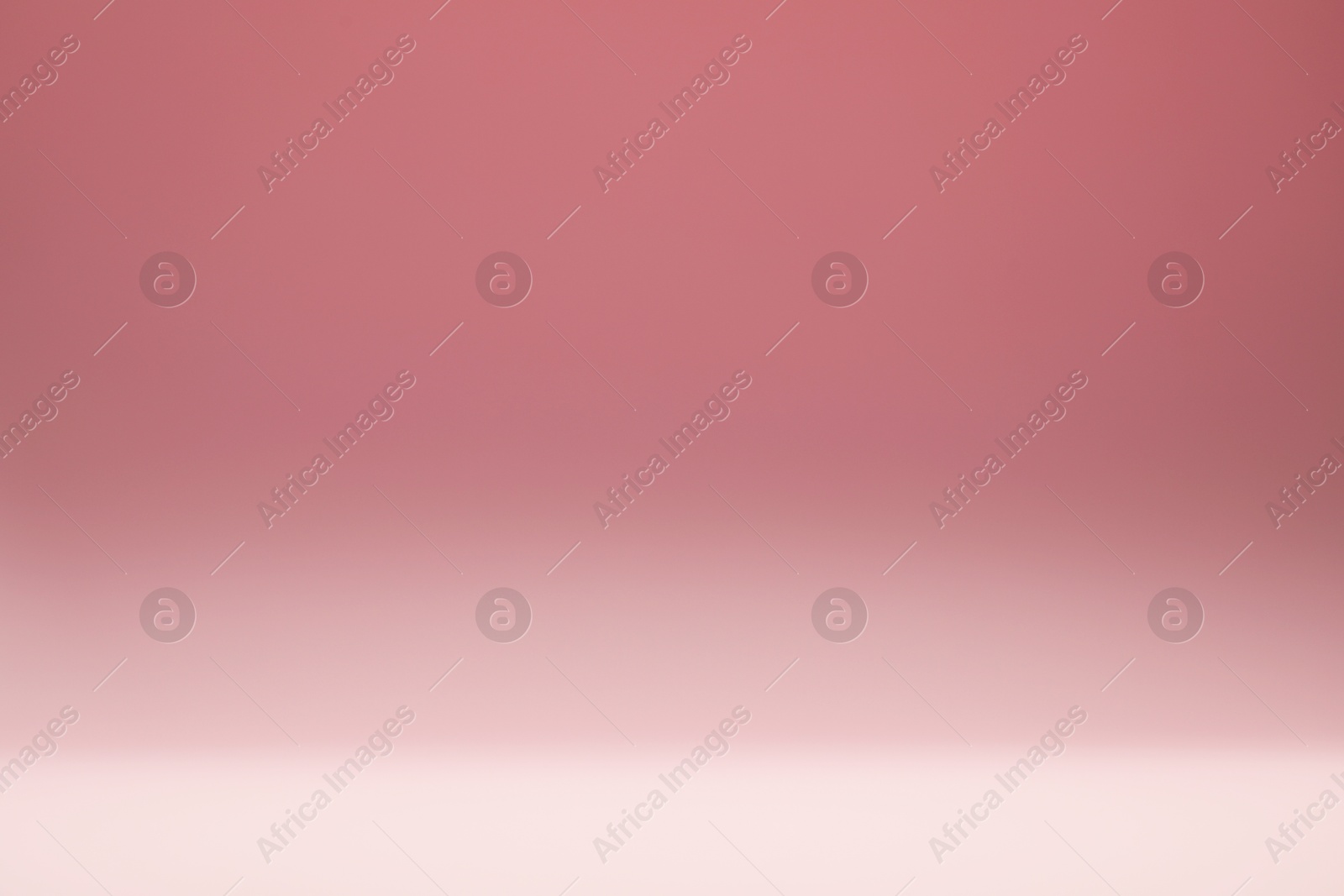 Photo of Dusty rose gradient background. Abstract color backdrop for design