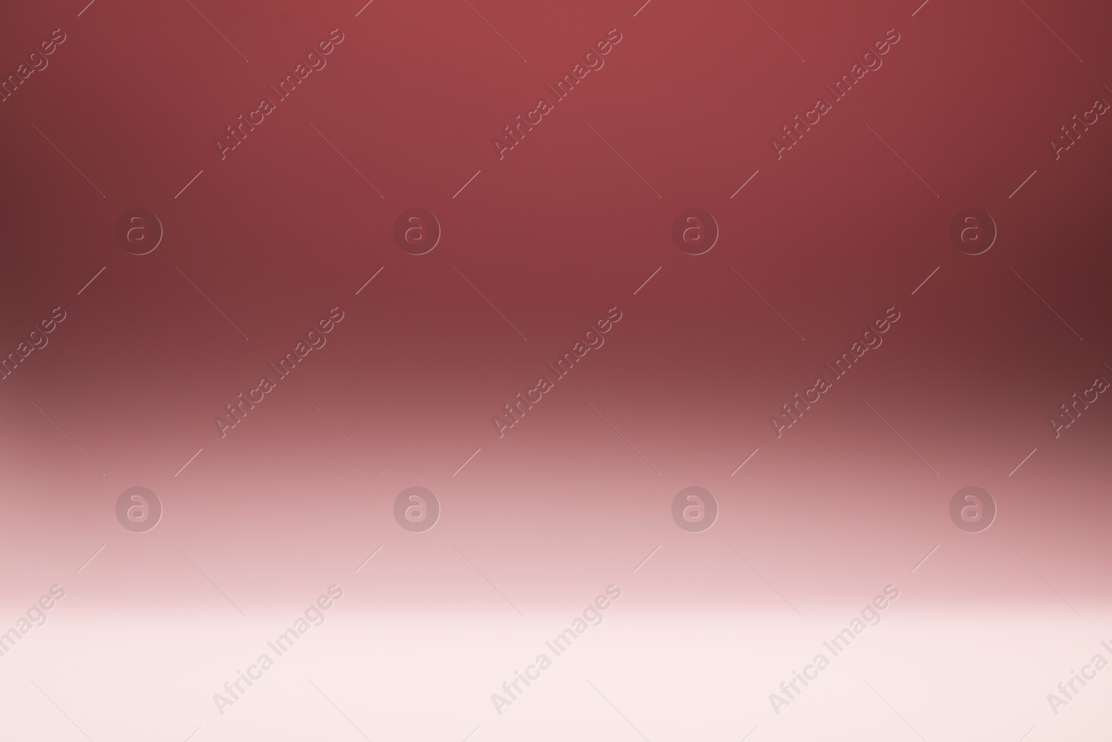 Photo of Dusty rose gradient background. Abstract color backdrop for design