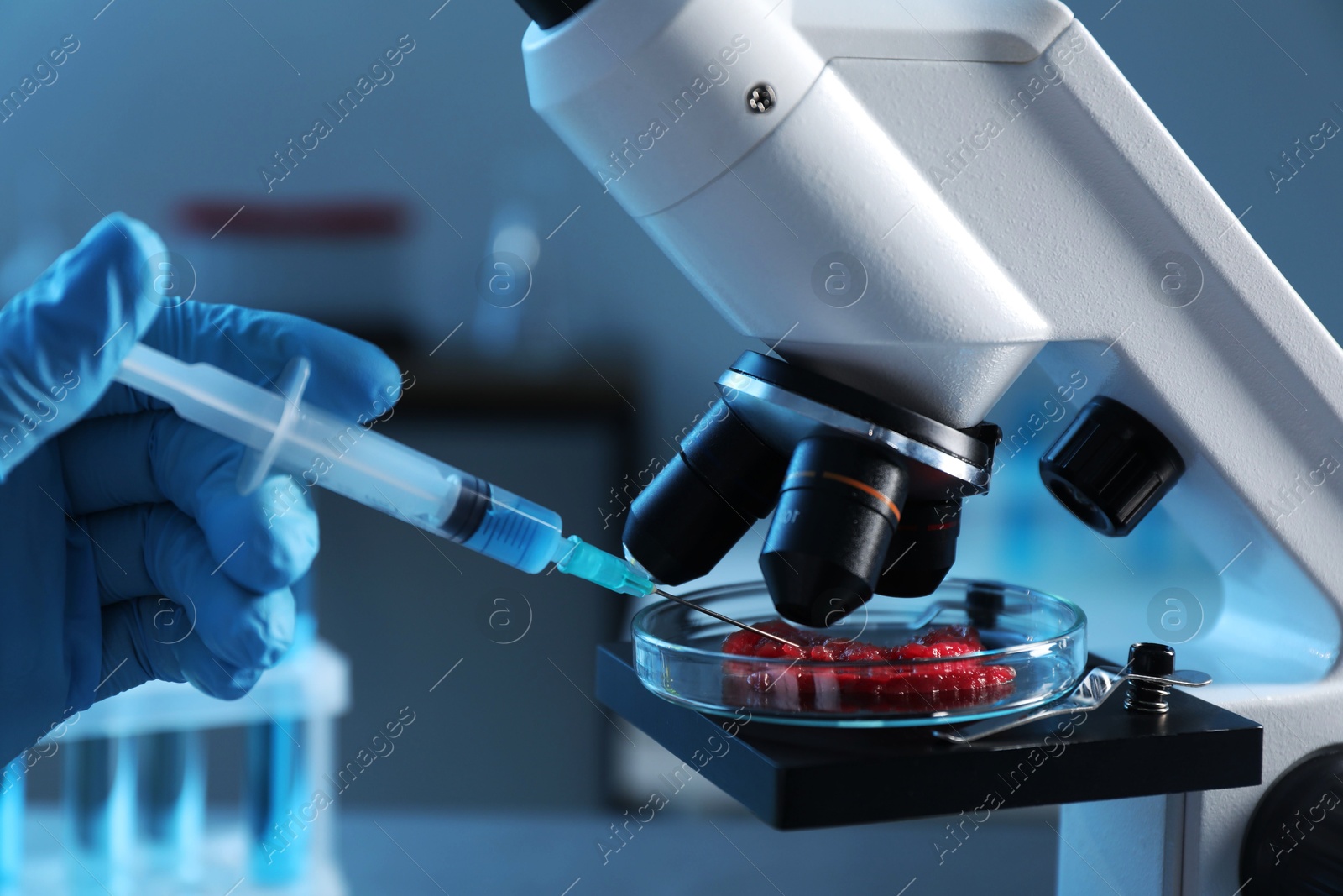 Photo of GMO concept. Scientist injecting something into piece of meat under microscope in laboratory, closeup