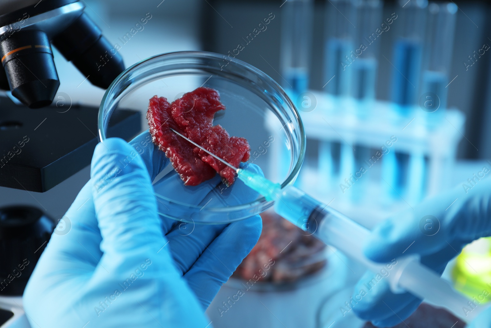 Photo of GMO concept. Scientist injecting something into piece of meat in laboratory, closeup