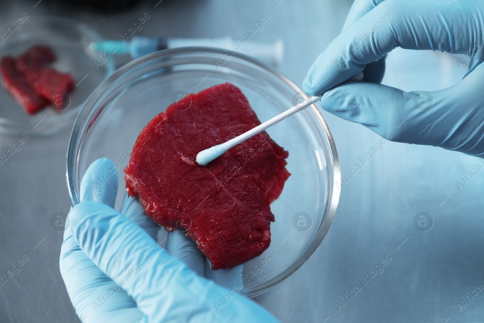 Photo of GMO concept. Scientist with swab and piece of meat at table in laboratory, closeup