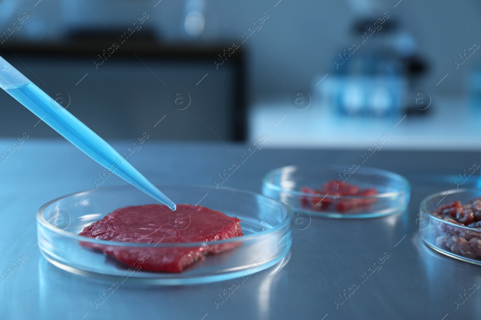 Photo of GMO concept. Dripping something onto piece of meat at table in laboratory, closeup