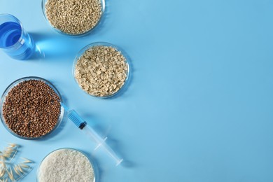 Photo of GMO concept. Petri dishes with cereal grains, syringe and beaker on table background, flat lay