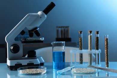 Photo of GMO concept. Petri dishes with cereal grains, test tubes, beaker and microscope on table in laboratory