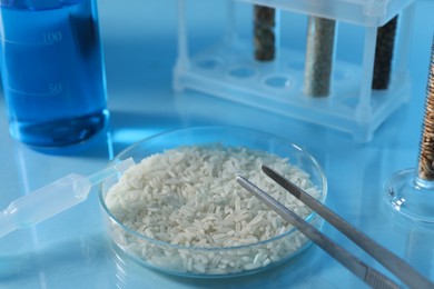 Photo of GMO concept. Petri dish with rice grains, tweezers, pipette and beaker on table, closeup