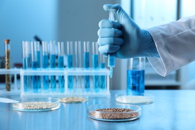 Photo of GMO concept. Scientist injecting something into buckwheat grains at table in laboratory, closeup