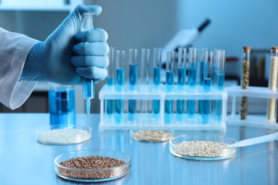 Photo of GMO concept. Scientist injecting something into buckwheat grains at table in laboratory, closeup