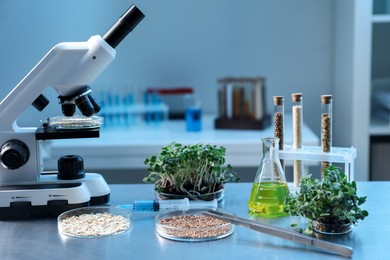 Photo of GMO concept. Petri dishes with buckwheat, oats, microgreens and equipment on table in laboratory