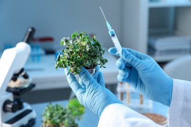 Photo of GMO concept. Scientist injecting liquid into microgreens at table in laboratory, closeup